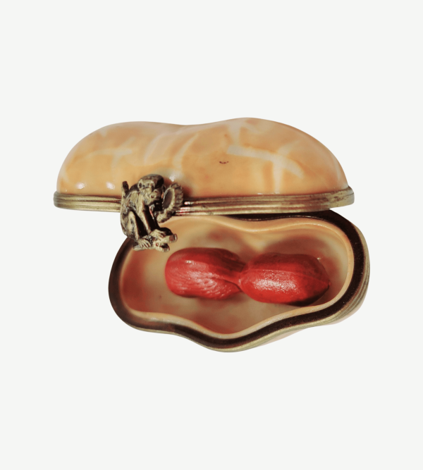 Peanut in Shell Limoges Box For Cheap - Image 3
