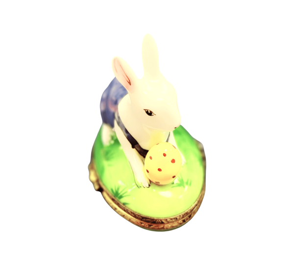 Rabbit with Removable Egg Easter Fashion - Image 3