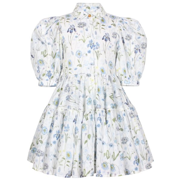 Glistening Blue Meadow Dress by Jessie & James Cheap